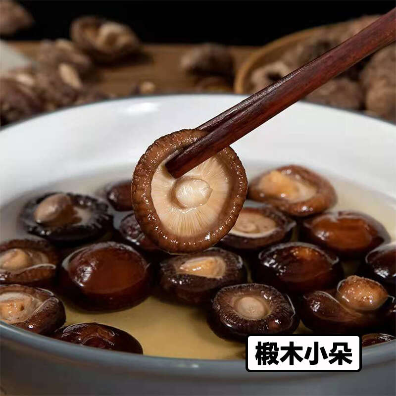 东北小香菇干货3cm长白山椴木香菇精品金钱菇手选冬菇肉厚无根
