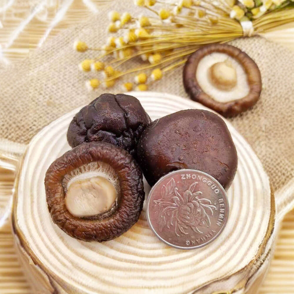 东北小香菇干货3cm长白山椴木香菇精品金钱菇手选冬菇肉厚无根
