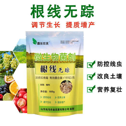 潍坊果树蔬菜 根结线虫和虫卵一窝端 根线无踪 鑫乐农夫淡紫拟青霉