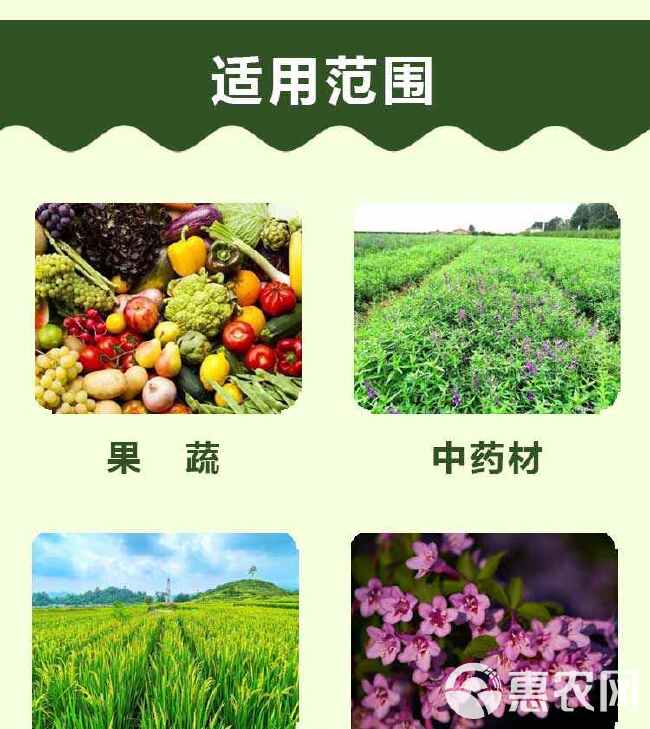 果树蔬菜 根结线虫和虫卵一窝端 根线无踪 鑫乐农夫淡紫拟青霉