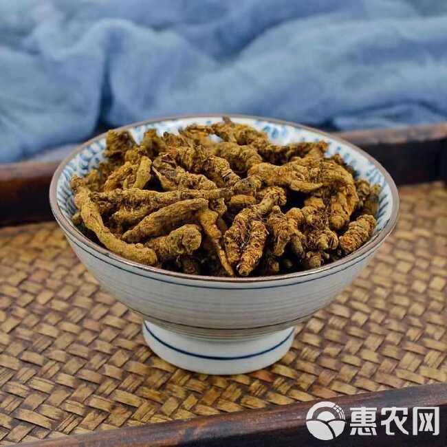 黄连段鸡爪黄连茶泡水黄莲黄连超细黄连段包邮