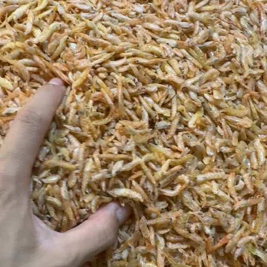 九江麦秆虾 个头均匀 干度10成 货品质好