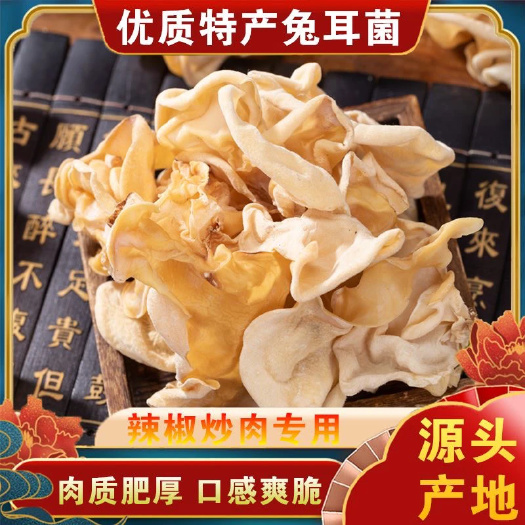 山竹耳新貨竹菇特產(chǎn)干貨竹耳菌竹子菇玉木耳竹大白竹菇白木耳