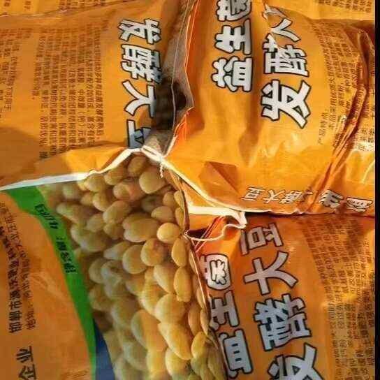 益生菌发酵大豆厂家直销品质保障