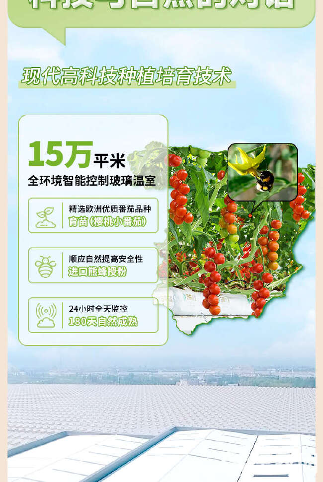 鲜榨番茄汁200ML*12盒无蔗糖NFC纯果蔬汁