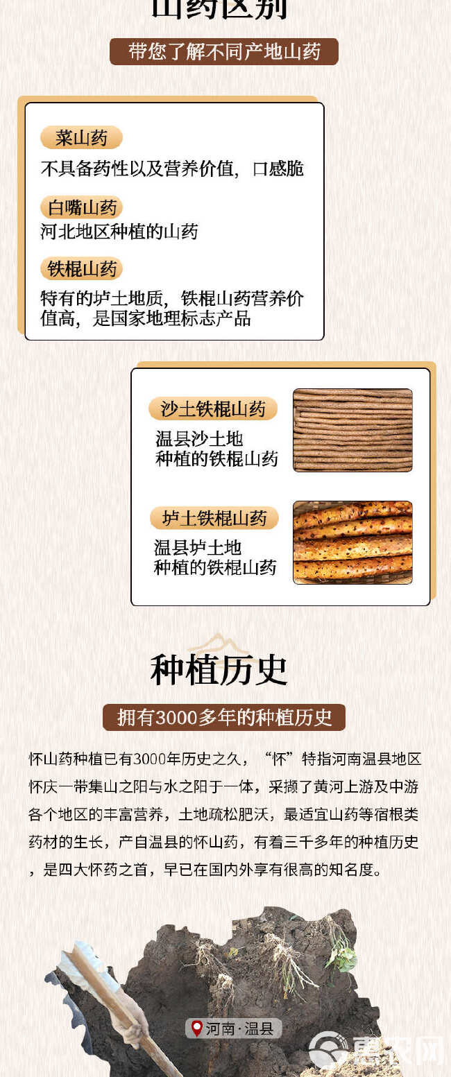 【2024年现挖头茬温县垆土地鲜山药】2500g/箱