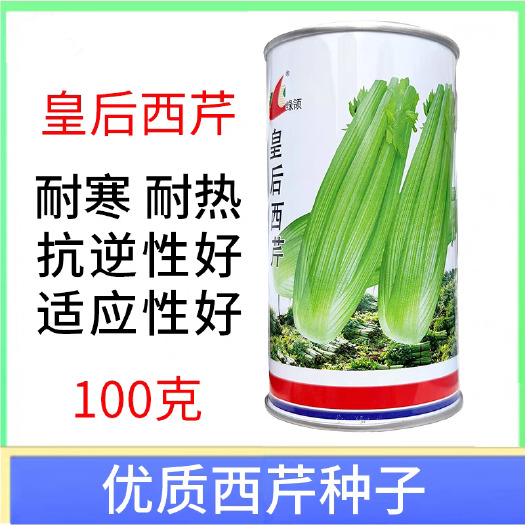 菏泽皇后西芹种子 早熟 生长速度快 叶柄浅黄 耐热耐寒