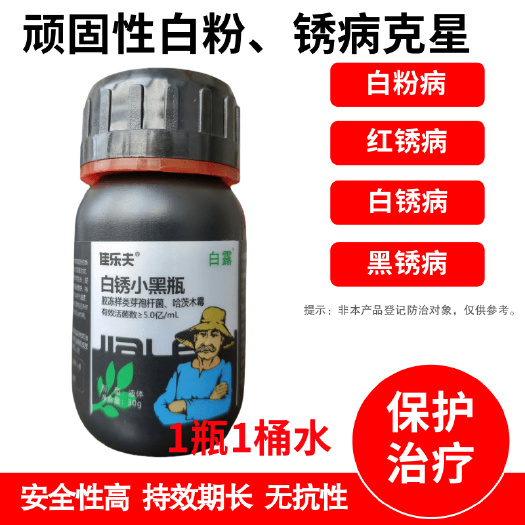 佳乐夫白锈小黑瓶抗性顽固性白粉病红锈病白锈病黑锈病防治