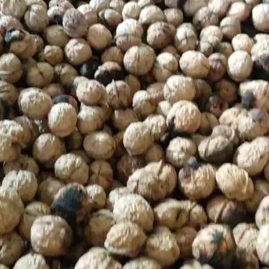 思茅云南核桃