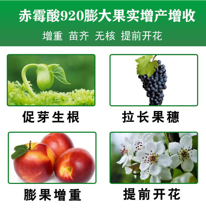赤霉素 920 保花坐果药植物生长调节剂拉长拉直催芽宝九二0