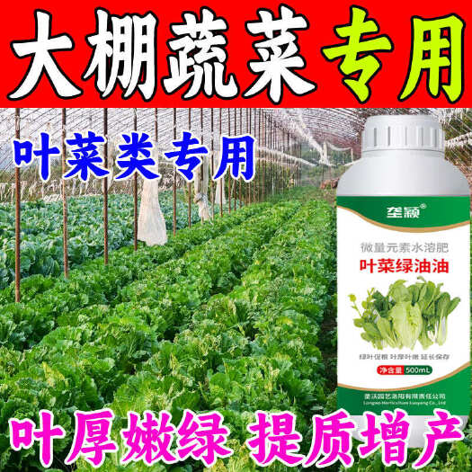 栾川县大棚蔬菜专用生根壮苗叶面厚绿增产白菜菠菜生菜茼蒿叶菜类专用肥