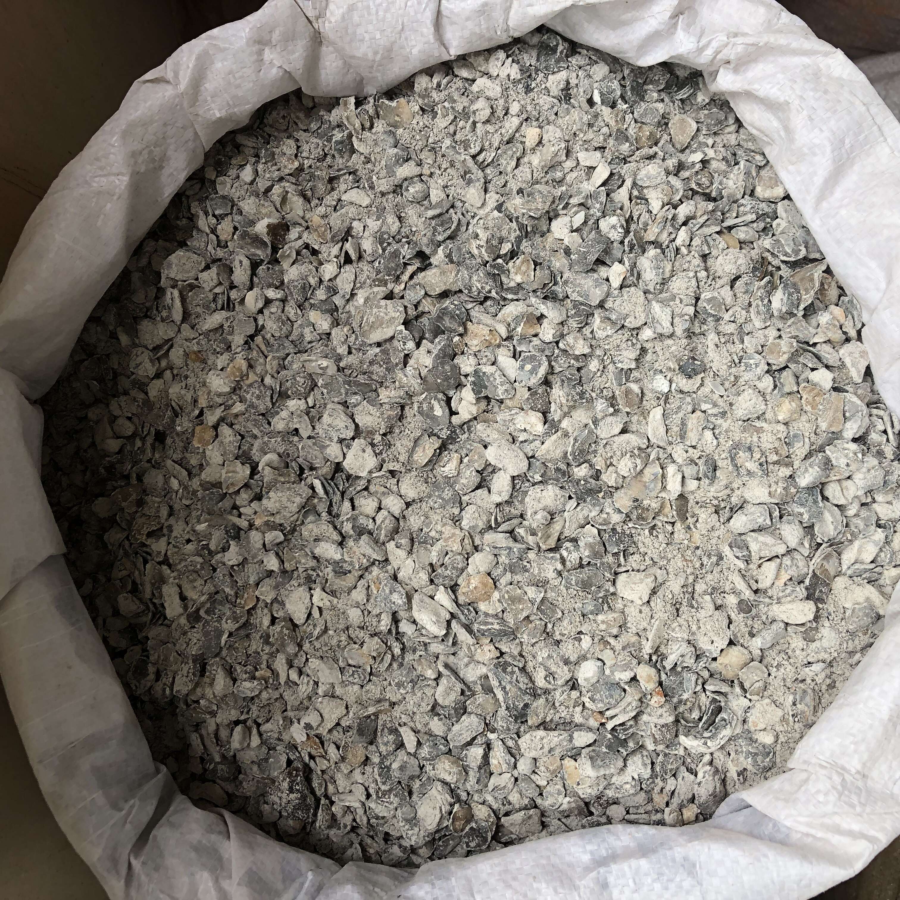 牡蛎片 散装正品生煅片海蛎子壳