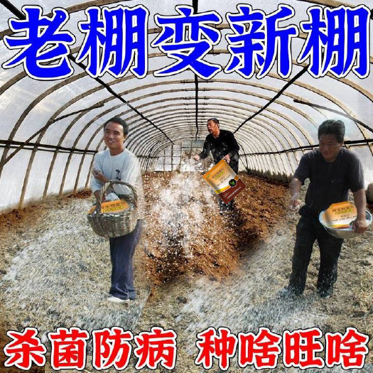 栾川县农用大棚蔬菜土壤杀菌剂土传病害专用土壤消毒改良抗重茬死苗烂根