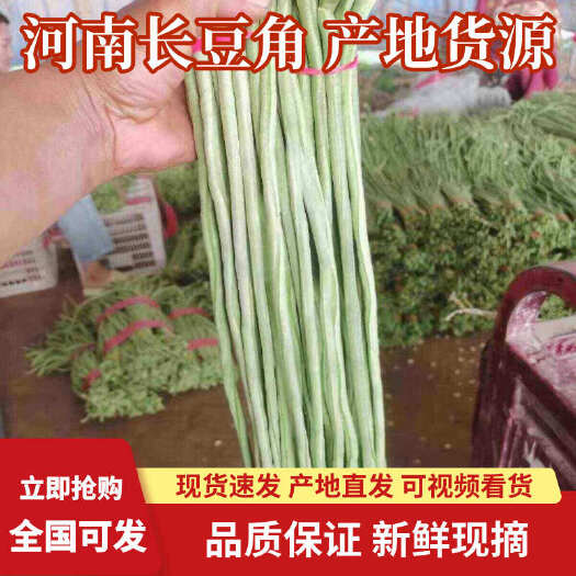 滑县河南长豆角嫩豇豆绿长豆角量大从优批发价