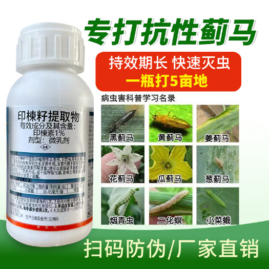 寿光市蓟马药豆角辣椒茄子蔬菜花卉专打抗性蓟马印楝籽提取物杀虫剂