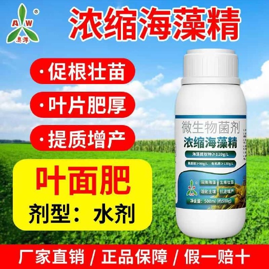 潍坊浓缩海藻精叶面肥 瓜果蔬菜高含量促根壮根绿叶靓果抗寒抗逆增产