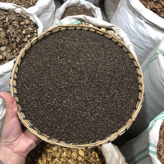 昆明紫苏子 精选正品紫苏籽 优质新货干净 中药材