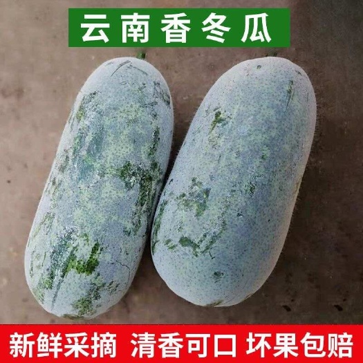 冰川瓜  云南香冬瓜，一手货源粉香糯超级好吃，质量保证