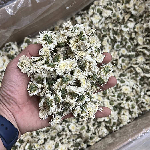 黄山贡菊 精选优质贡菊 白菊花泡水 散装菊花茶