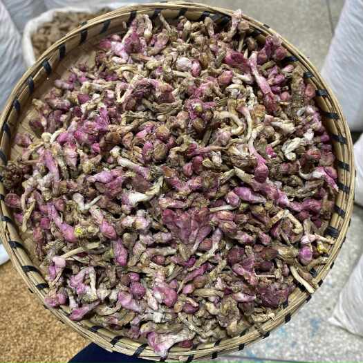 昆明款冬花 生花 花蕾少杆 云南应季冬花自然生晒