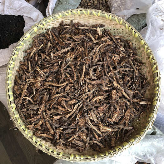 昆明羌活 川羌活 蚕羌个头 当季新货