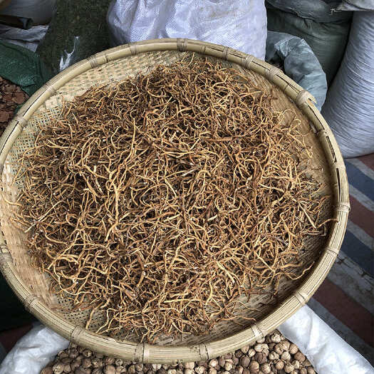 鱼腥草 云南夏季折耳根新货叶子泡水药材干净筛选新鲜晾晒