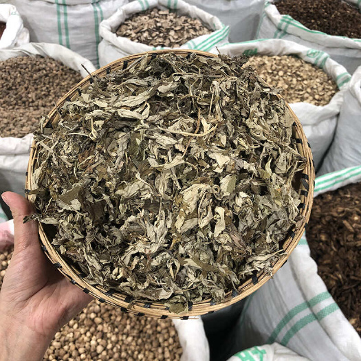 昆明艾叶 新艾非陈艾 精选优质农家自采