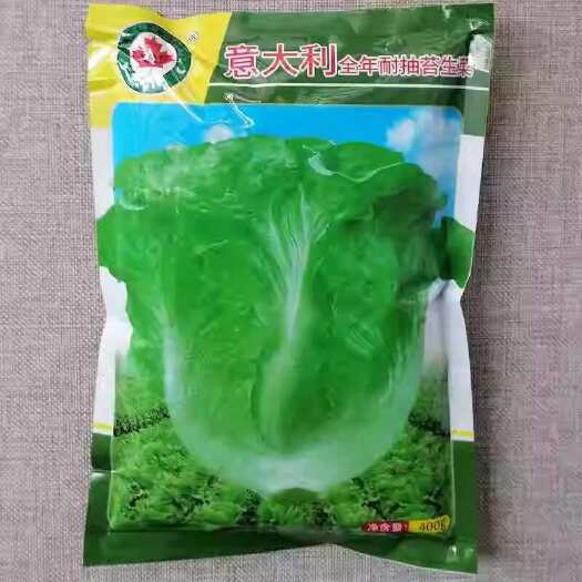 漯河意大利全年耐抽苔生菜种子 耐热耐抽苔 爽脆味香