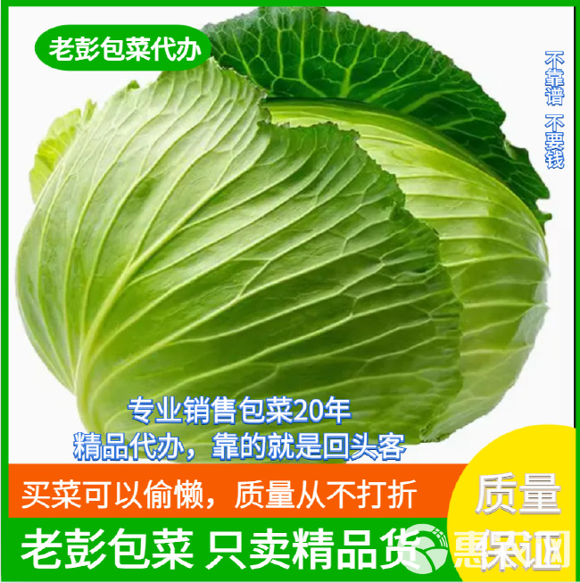 湖北农家自种蔬菜卷心菜大头菜新鲜包菜甘蓝露天农家菜园直发批发