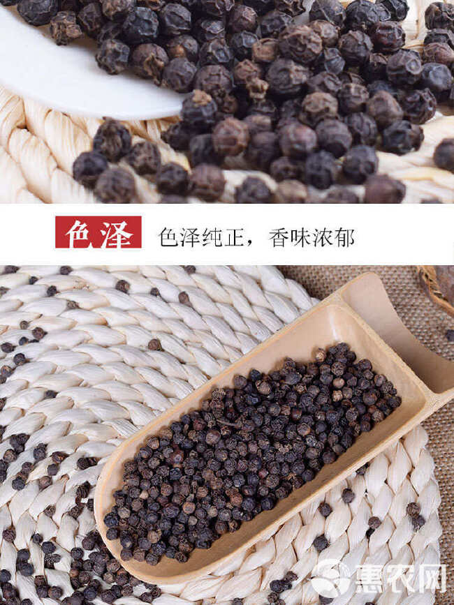 胡椒跨境出口批发海南黑胡椒粒调味料Black peppe