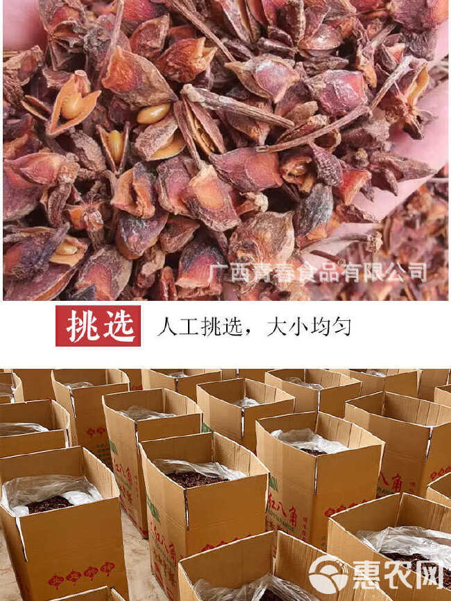 八角 Star Anise 香料出口 大红 春花 干支八角