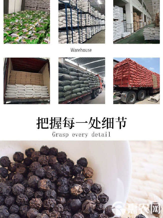 胡椒跨境出口批发海南黑胡椒粒调味料Black peppe