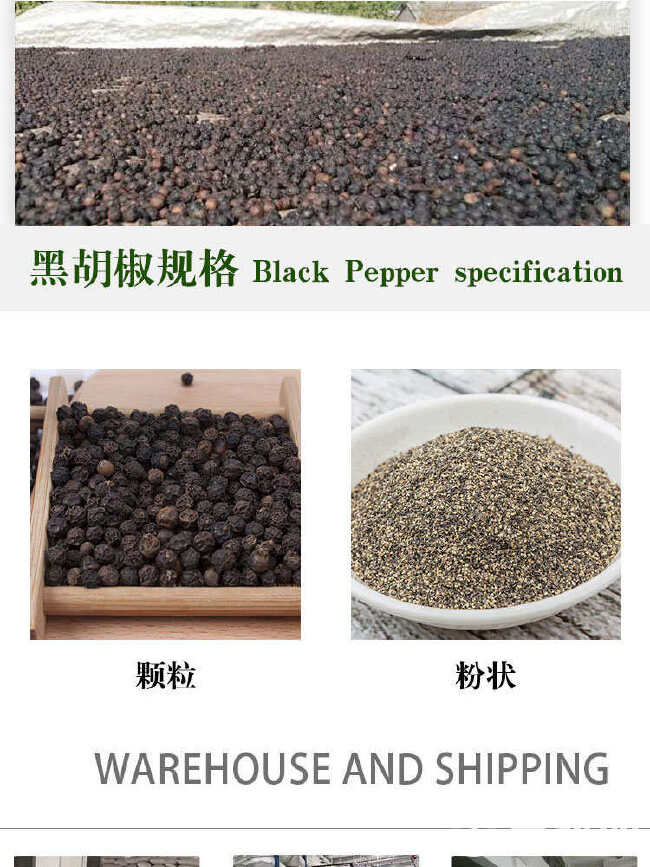 胡椒跨境出口批发海南黑胡椒粒调味料Black peppe