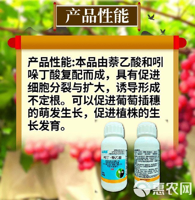 5%吲哚萘乙酸促进生根扦插促长5%吲丁萘乙酸促进生根