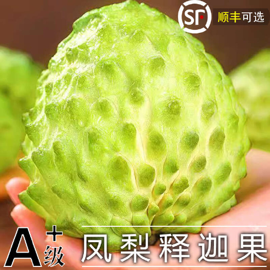 广西凤梨释迦果新鲜凤梨牛奶释迦果包邮摩尼果林檎果当季特大果