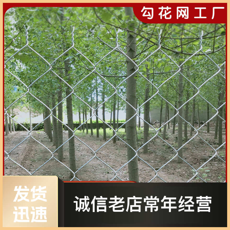 2.0粗防生锈勾花钢丝网热镀锌果园围栏网鸡鸭鹅专用养殖网防护