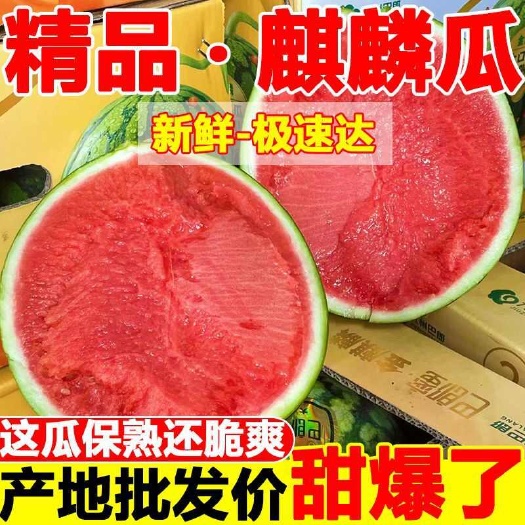 芒市云南麒麟美都西瓜，产地直发，价格实惠，口感甜脆量大从优