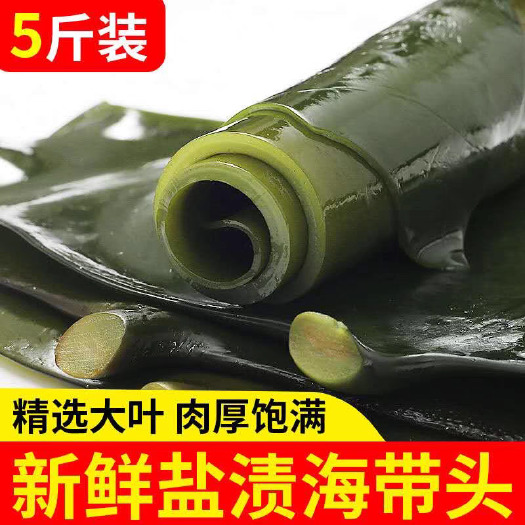 威海山东精品盐渍海带头 厂家直供 品质放心