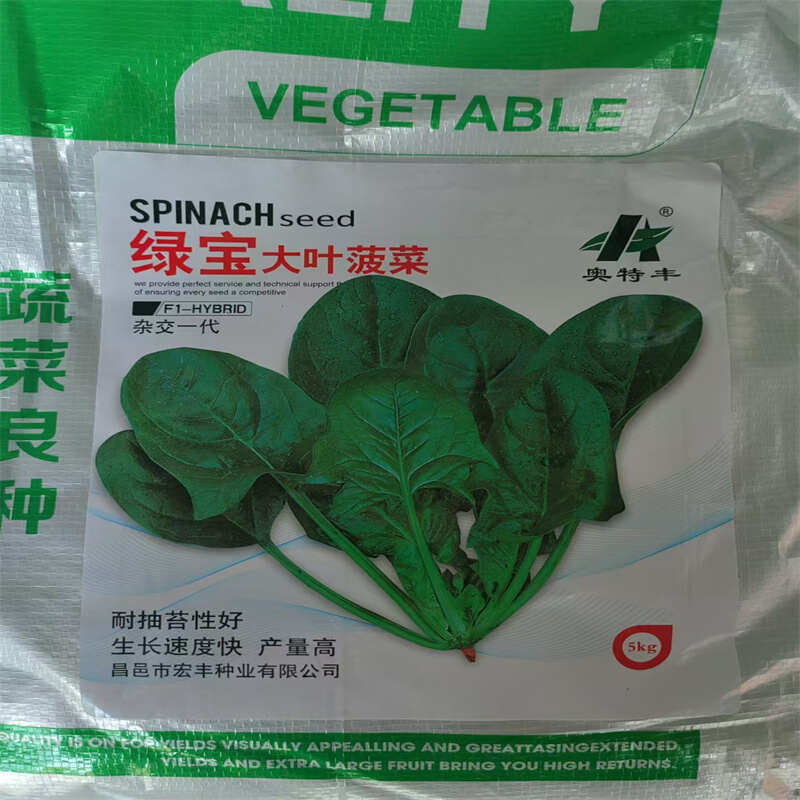 荷兰帝王菠菜种子耐寒绿宝大叶菠菜种子耐抽苔生长速度快菠菜种子