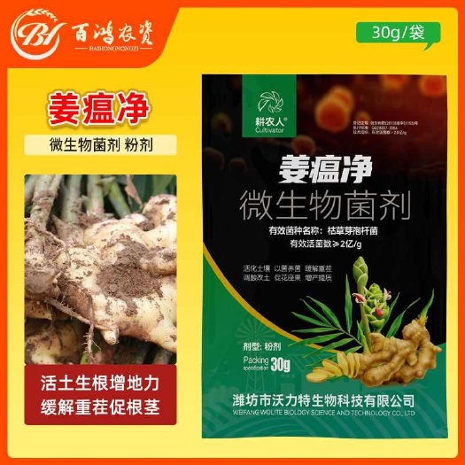 耕农人姜瘟净姜瘟专用姜瘟清生姜大姜干尖黄叶烂脖子茎基腐菌助