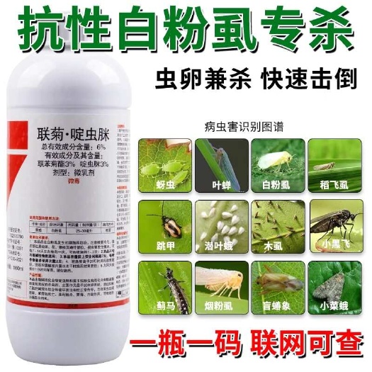 联菊啶虫脒农药杀虫剂白粉虱稻飞虱蚜虫小黑飞果蔬花卉通用杀虫药