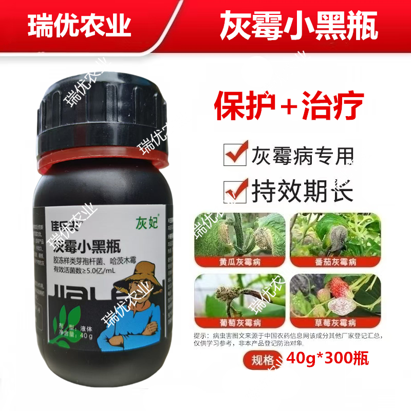 佳乐夫灰霉小黑瓶灰霉病叶霉病菌核病腐霉病生物菌可防可治安全
