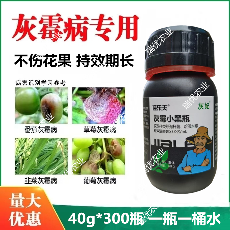 佳乐夫灰霉小黑瓶灰霉病叶霉病菌核病腐霉病生物菌可防可治安全