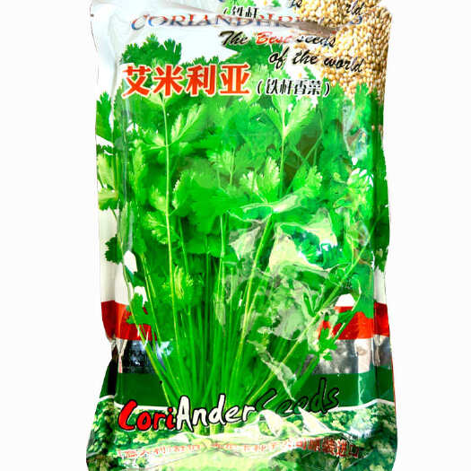 济南艾米利亚铁杆香菜澳洲耐抽苔四季香菜铁杆青抗病