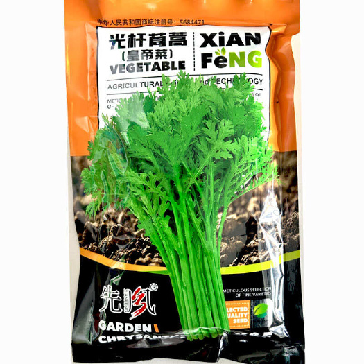 光杆茼蒿种子皇帝菜籽四季春秋种植35天上市抗病强