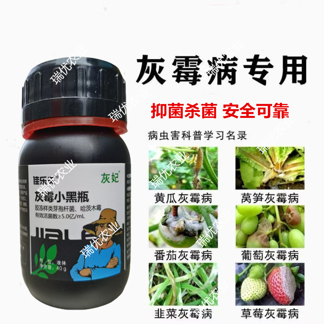 佳乐夫灰霉小黑瓶灰霉病叶霉病菌核病腐霉病生物菌可防可治安全