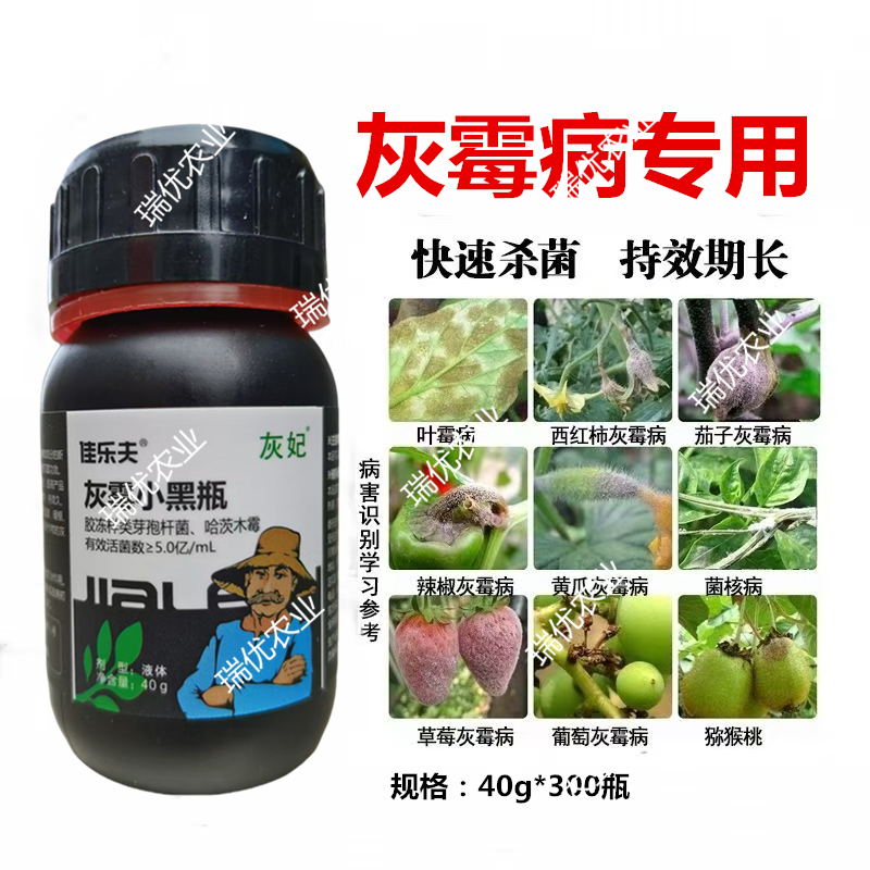 佳乐夫灰霉小黑瓶灰霉病叶霉病菌核病腐霉病生物菌可防可治安全