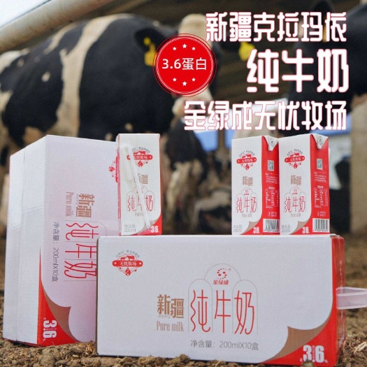 乌鲁木齐新疆直发~新疆克拉玛依金绿成全脂纯牛奶3.6蛋白