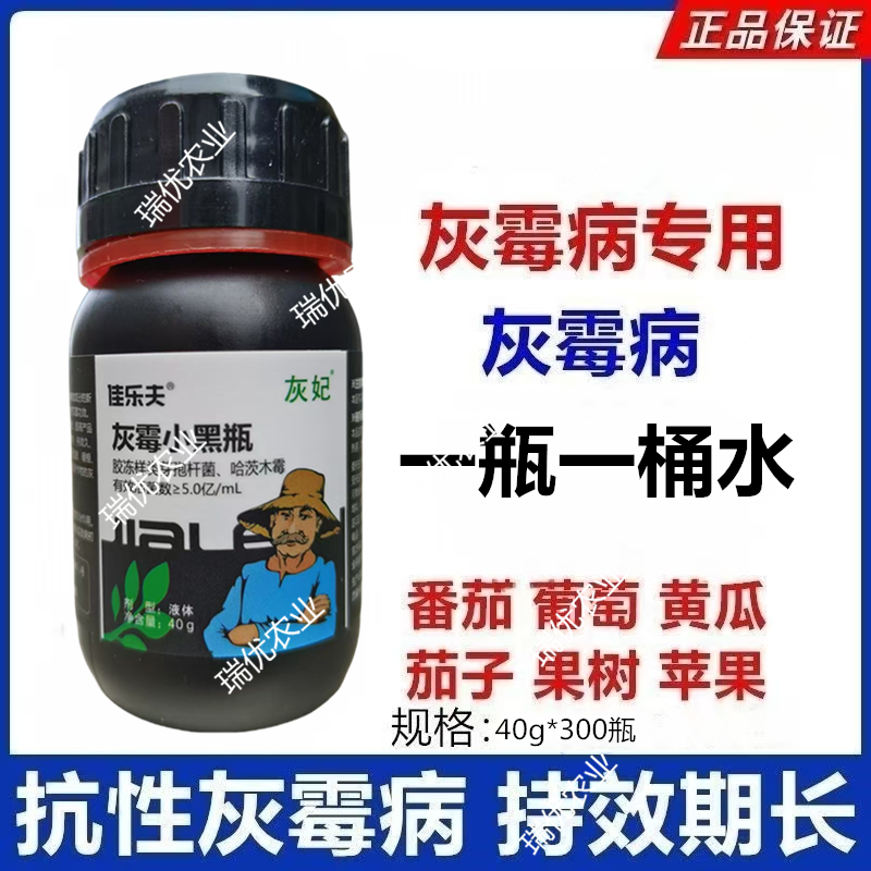 佳乐夫灰霉小黑瓶灰霉病叶霉病菌核病腐霉病生物菌可防可治安全