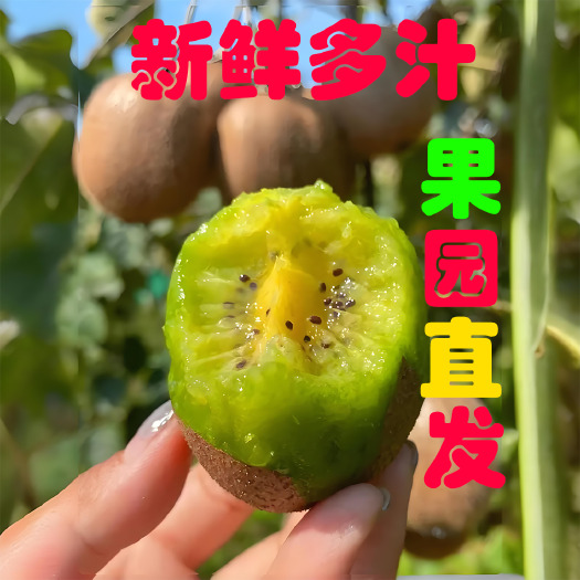 眉县【发整车】【上车价】眉县徐香猕猴桃大果，单果质量80g+